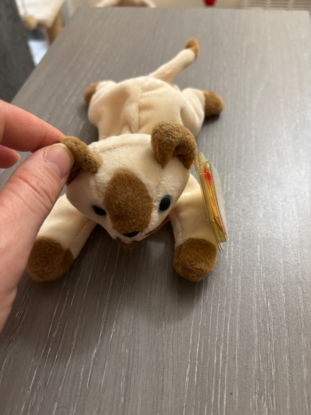 TY beanie baby cat snip